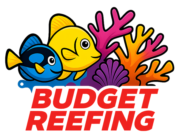 Budget Reefing